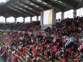 p4250004.jpg