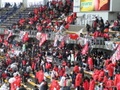 p4250007.jpg