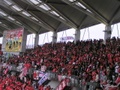 p4250037.jpg