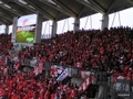p4250078.jpg