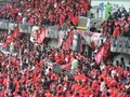 p4250088.jpg