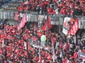 p4250090.jpg
