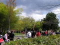 2011_04_29_11_29_33.jpg