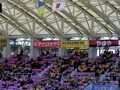 2011_04_29_13_16_28.jpg