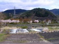 2011_04_29_8_20_36.jpg