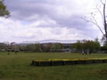 2011_04_29_9_52_49.jpg